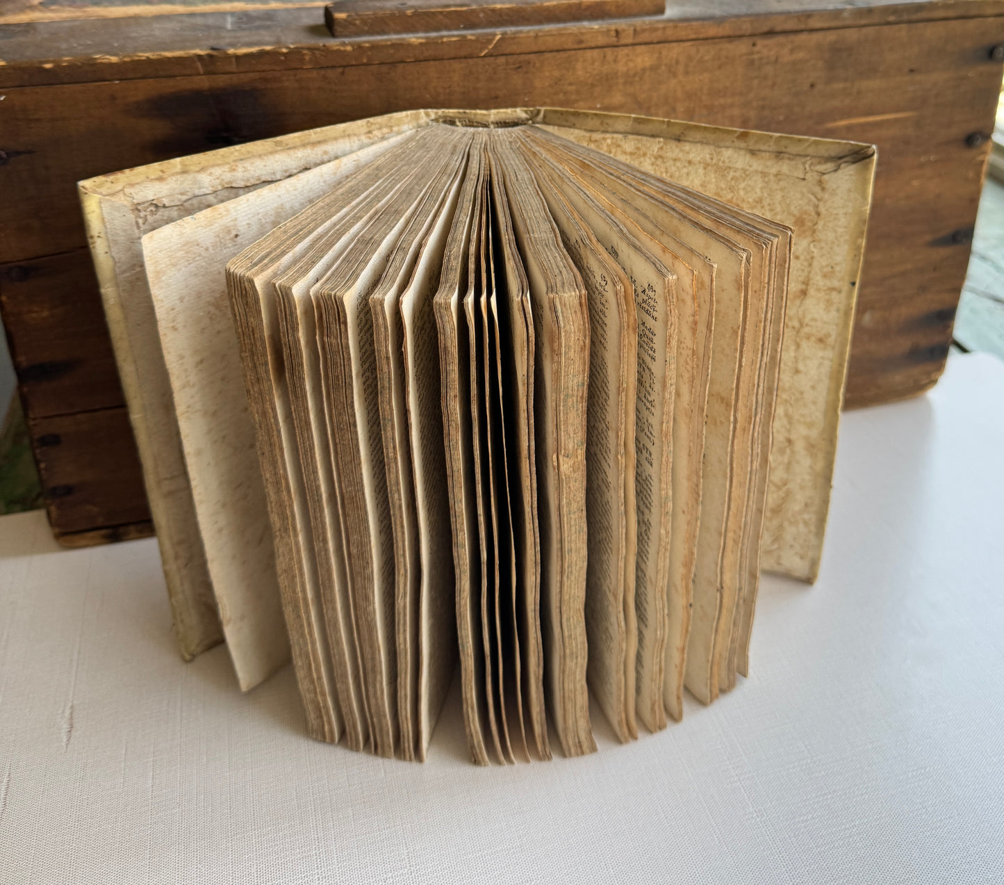 1829 Regia Parnassi Latin Poetry Reference Book – Neapolitan Edition