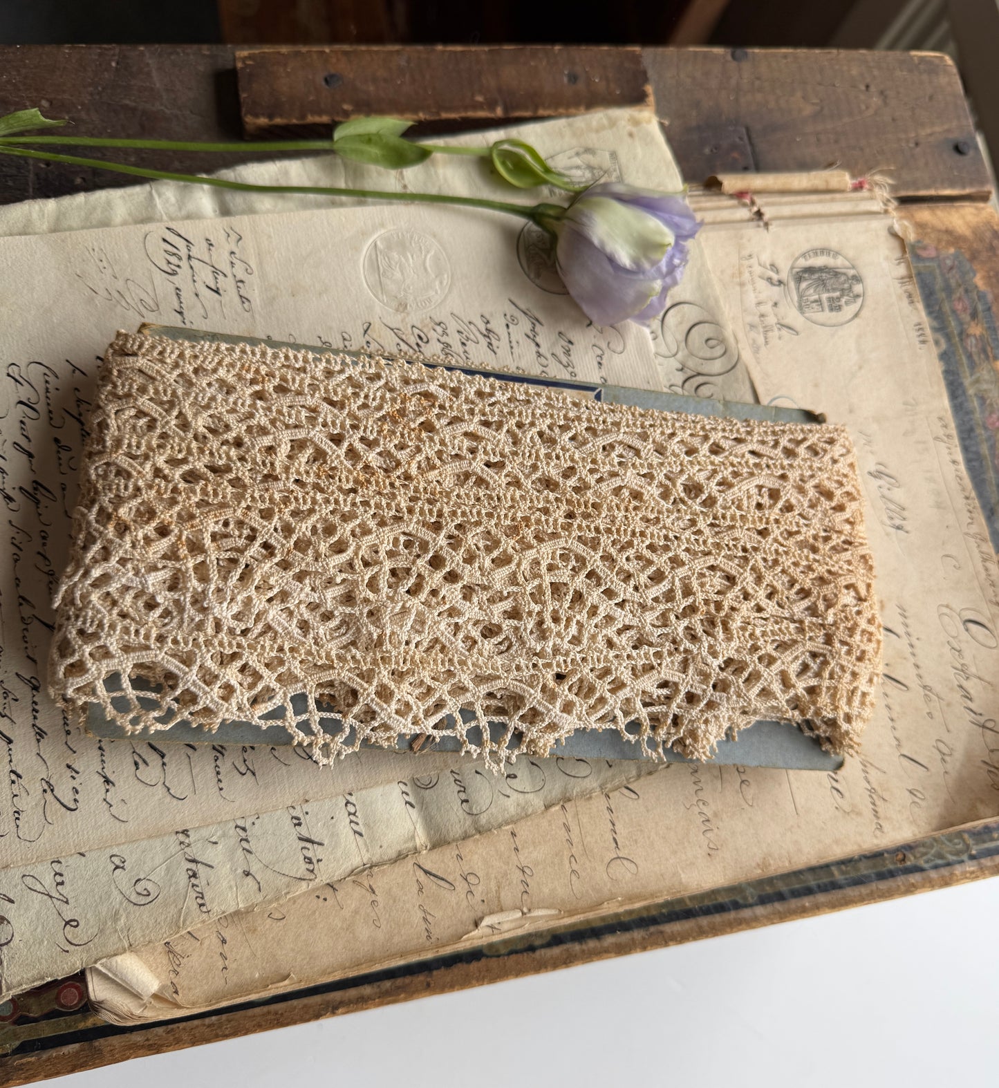 Antique French Bobbin Lace Trim, Delicate Handmade Dentelle on Original Card
