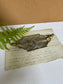 Art Nouveau Brass Nude Lady figural Tray- Vintage French Trinket Dish