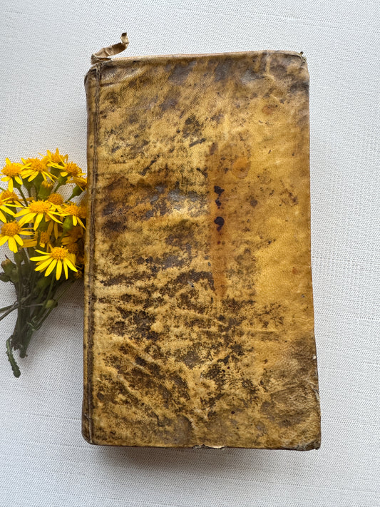 1797 Latin Grammar Book by Ferdinando Porretti – Roman Edition