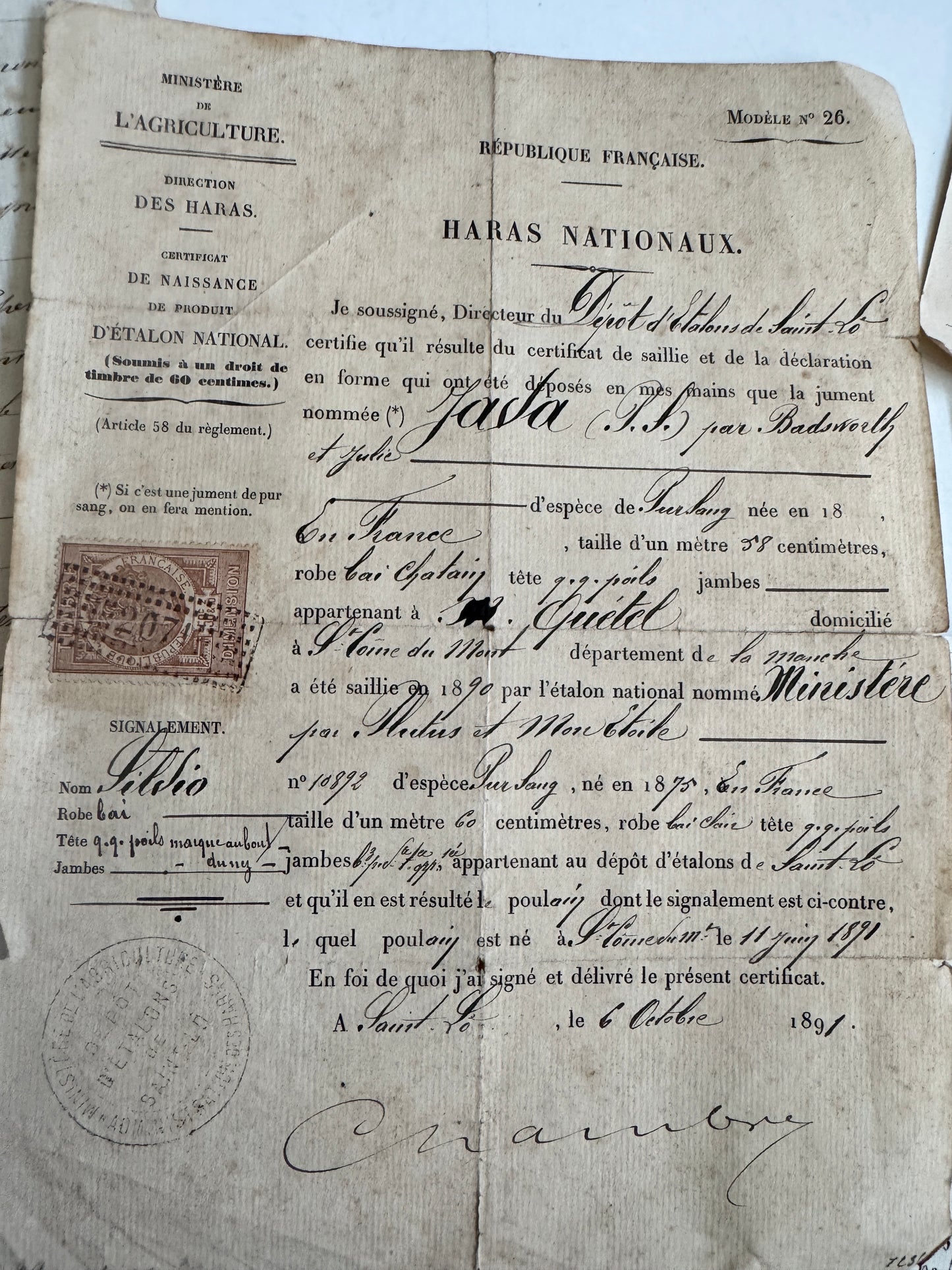 Antique French Ephemera Collection, 1800's Handwritten & Printed Documents
