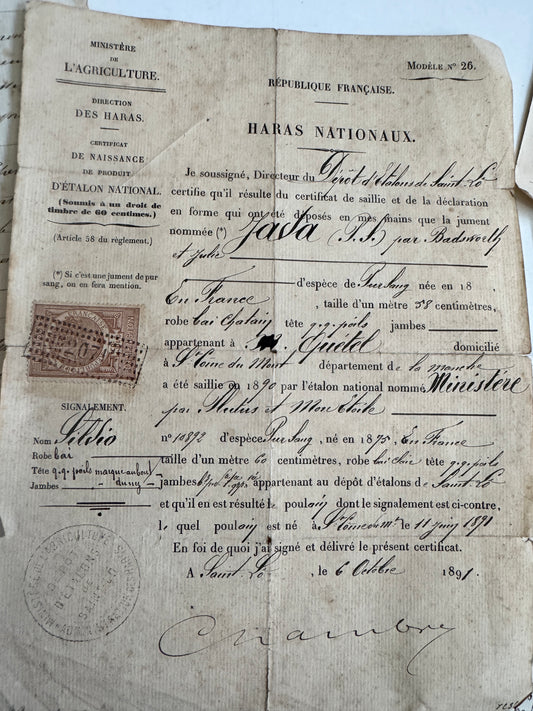 Antique French Ephemera Collection, 1800's Handwritten & Printed Documents