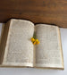 1829 Regia Parnassi Latin Poetry Reference Book – Neapolitan Edition