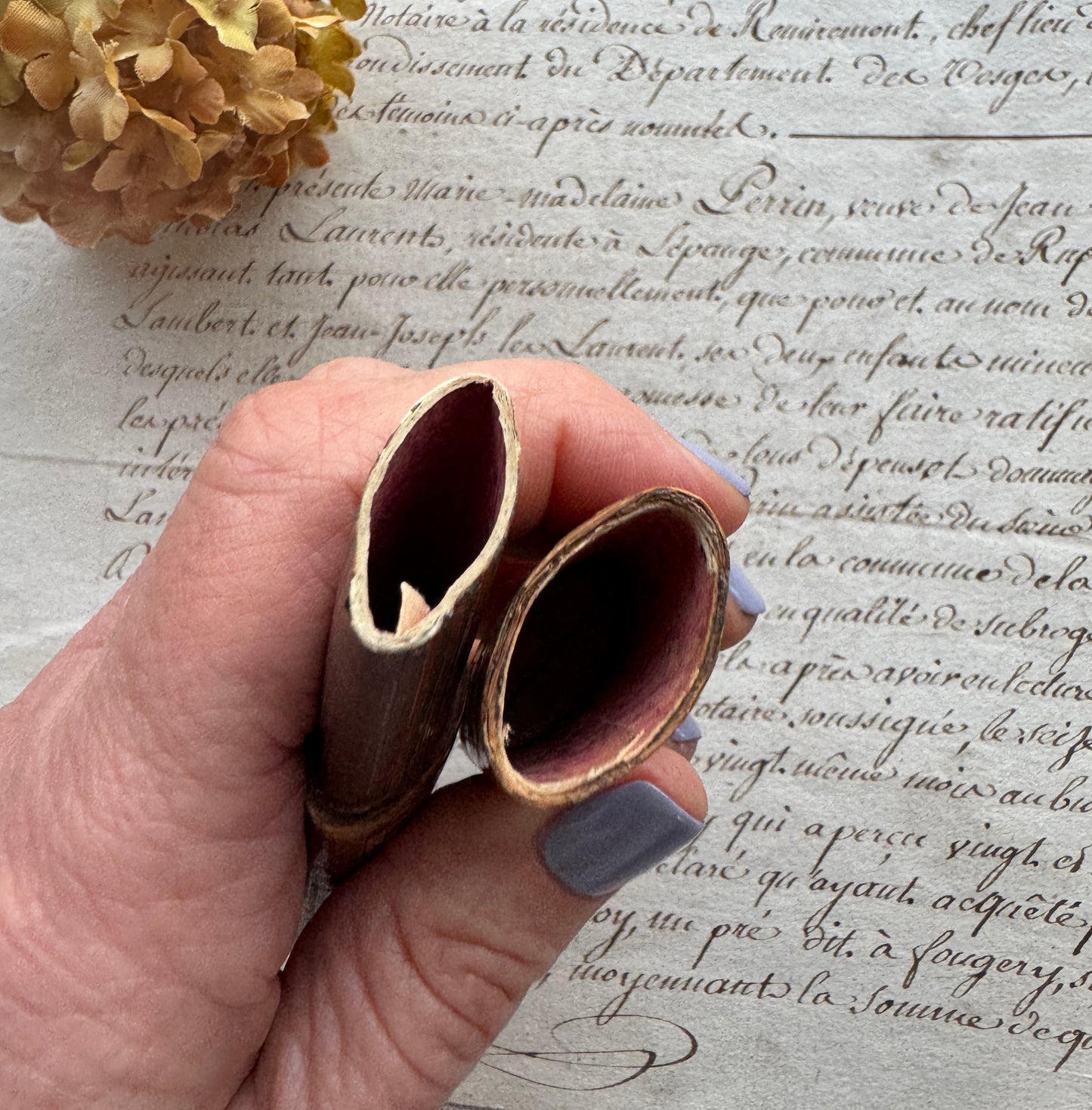 Antique Marquetry Needle Case with Striped Inner Sleeve, French