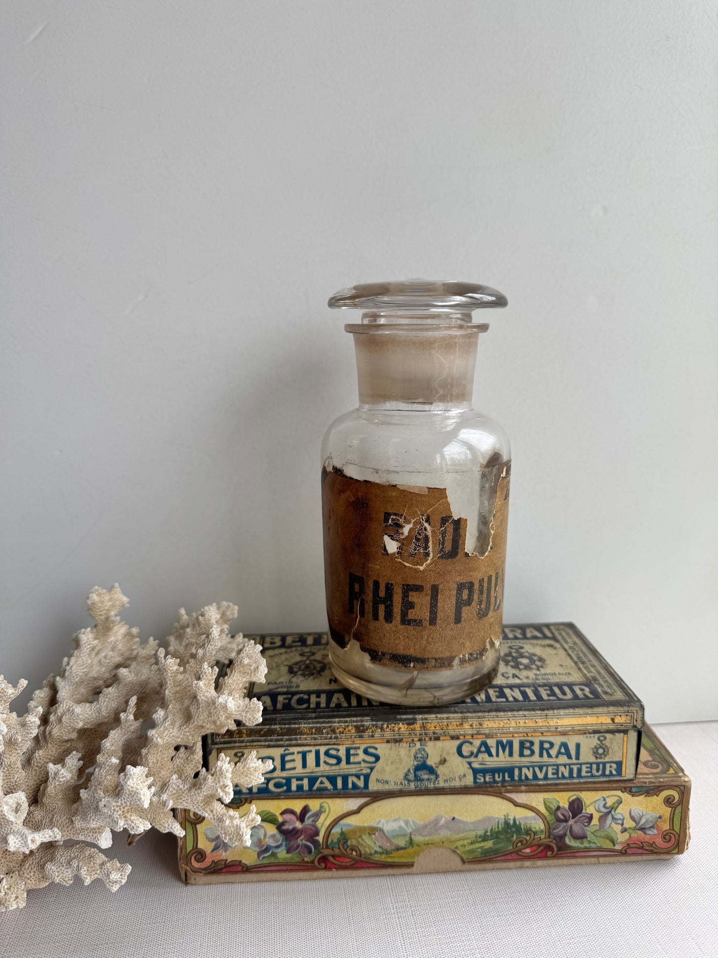 Antique Apothecary Jar – RHEI PULV Glass Bottle with Worn Label