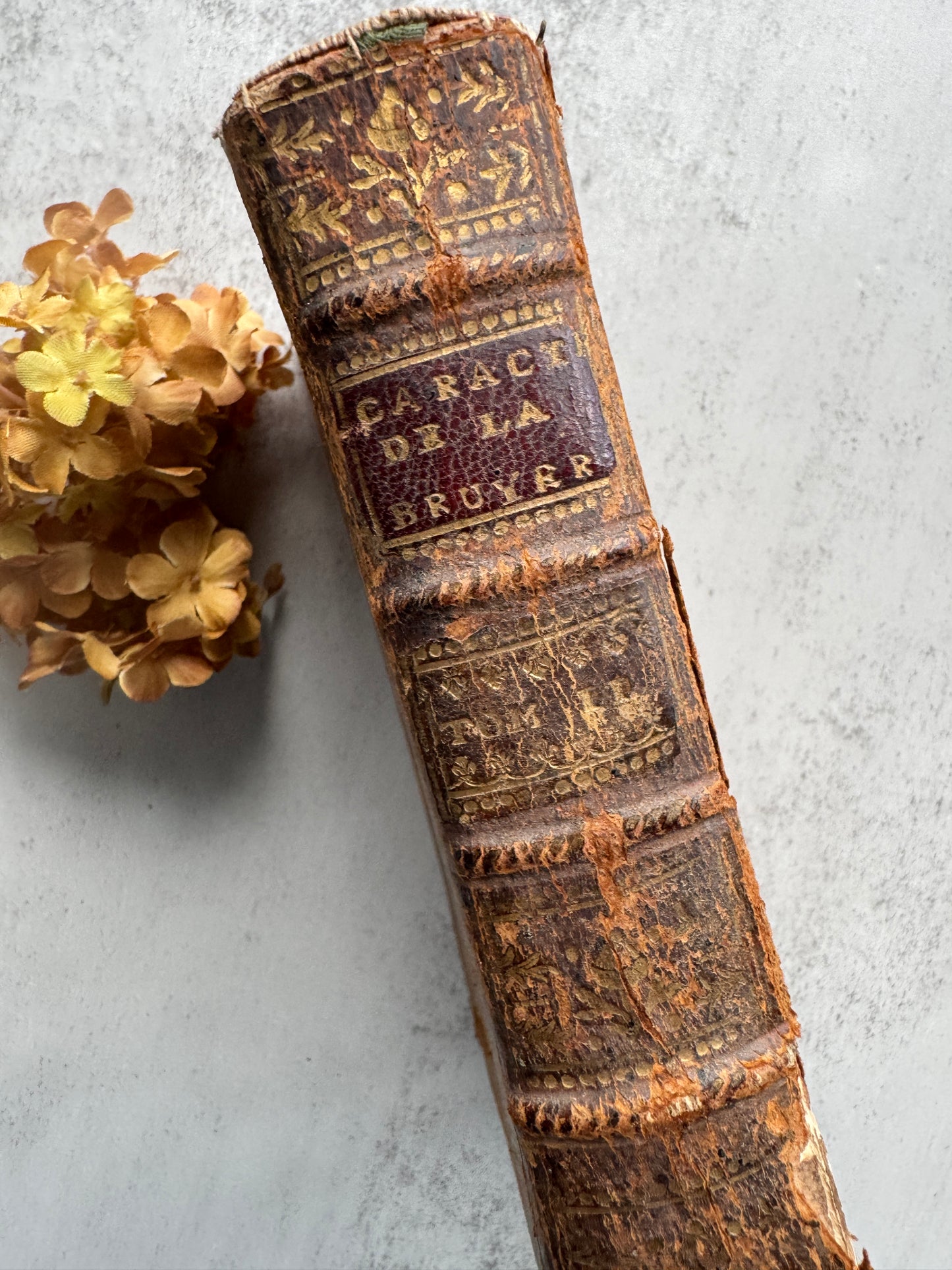 Antique French Book, 1700's Les Caracteres de La Bruyere