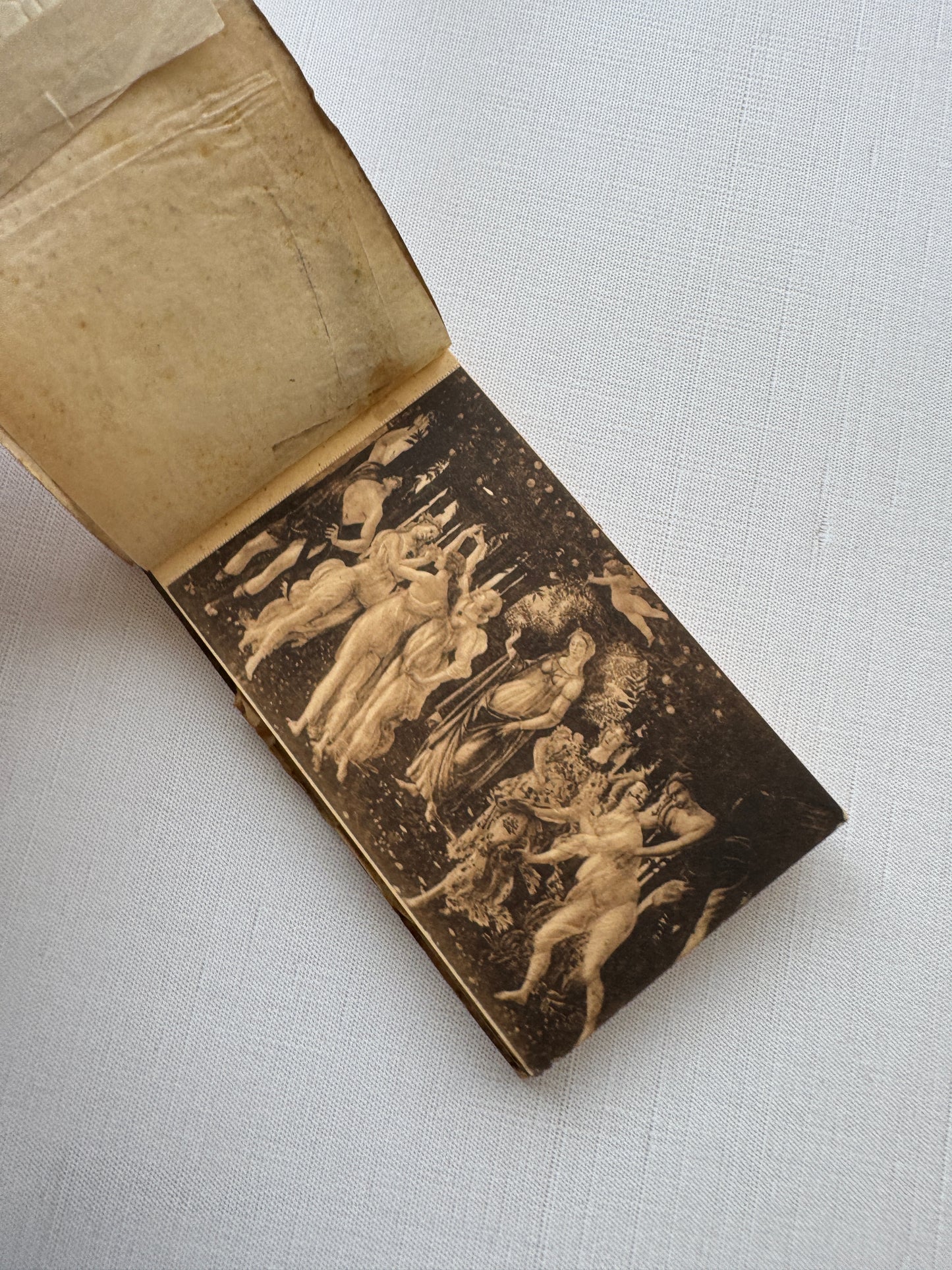 Antique Italian Art Book, Ricordo di Firenze Galleria Uffizi, Souvenir with Old Master Prints