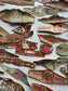Lot of Antique European Cigar Bands 19th to Early 20th Century Paper Ephemera