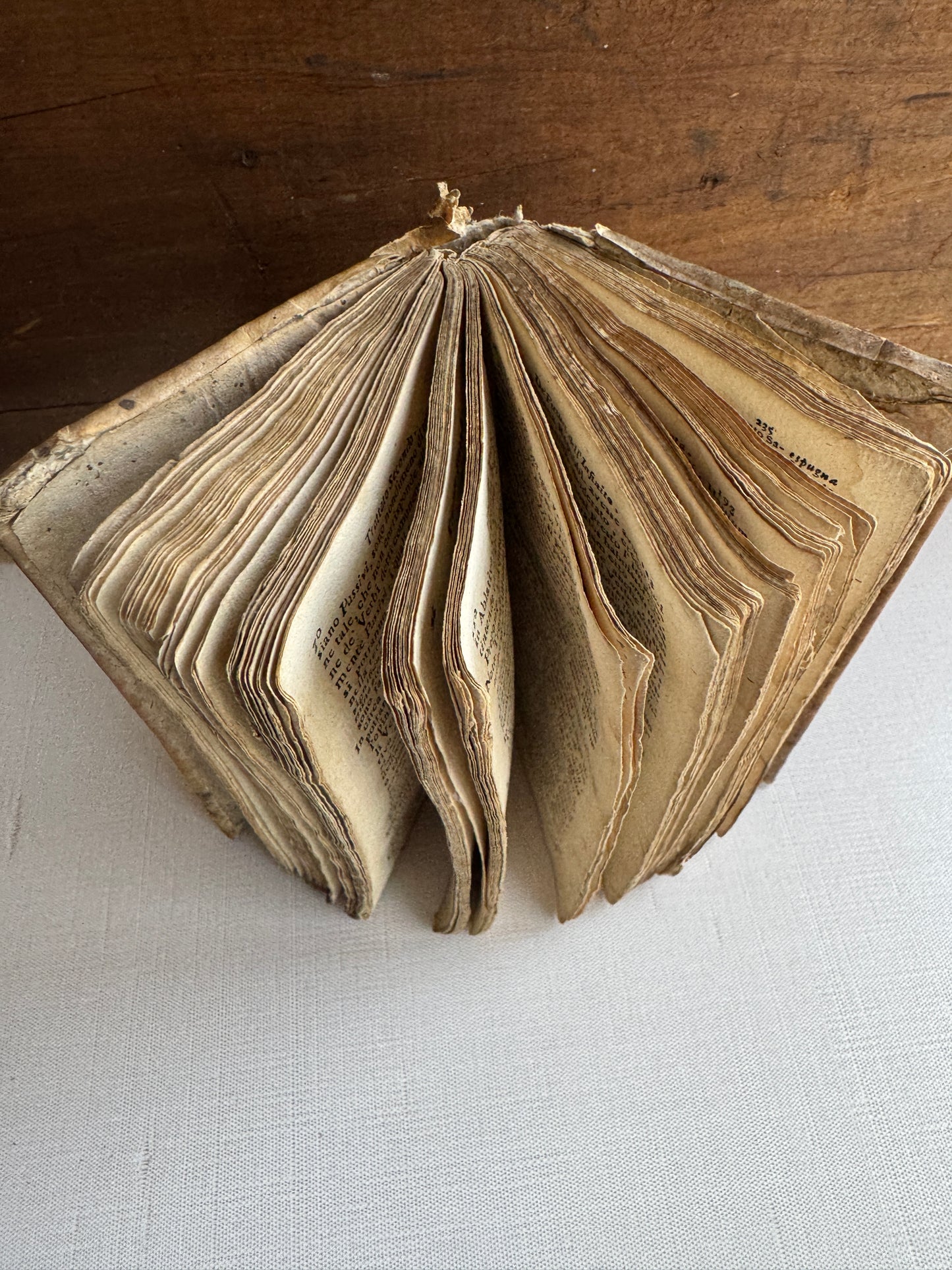 1797 Latin Grammar Book by Ferdinando Porretti – Roman Edition