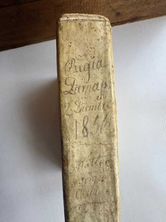 1829 Regia Parnassi Latin Poetry Reference Book – Neapolitan Edition