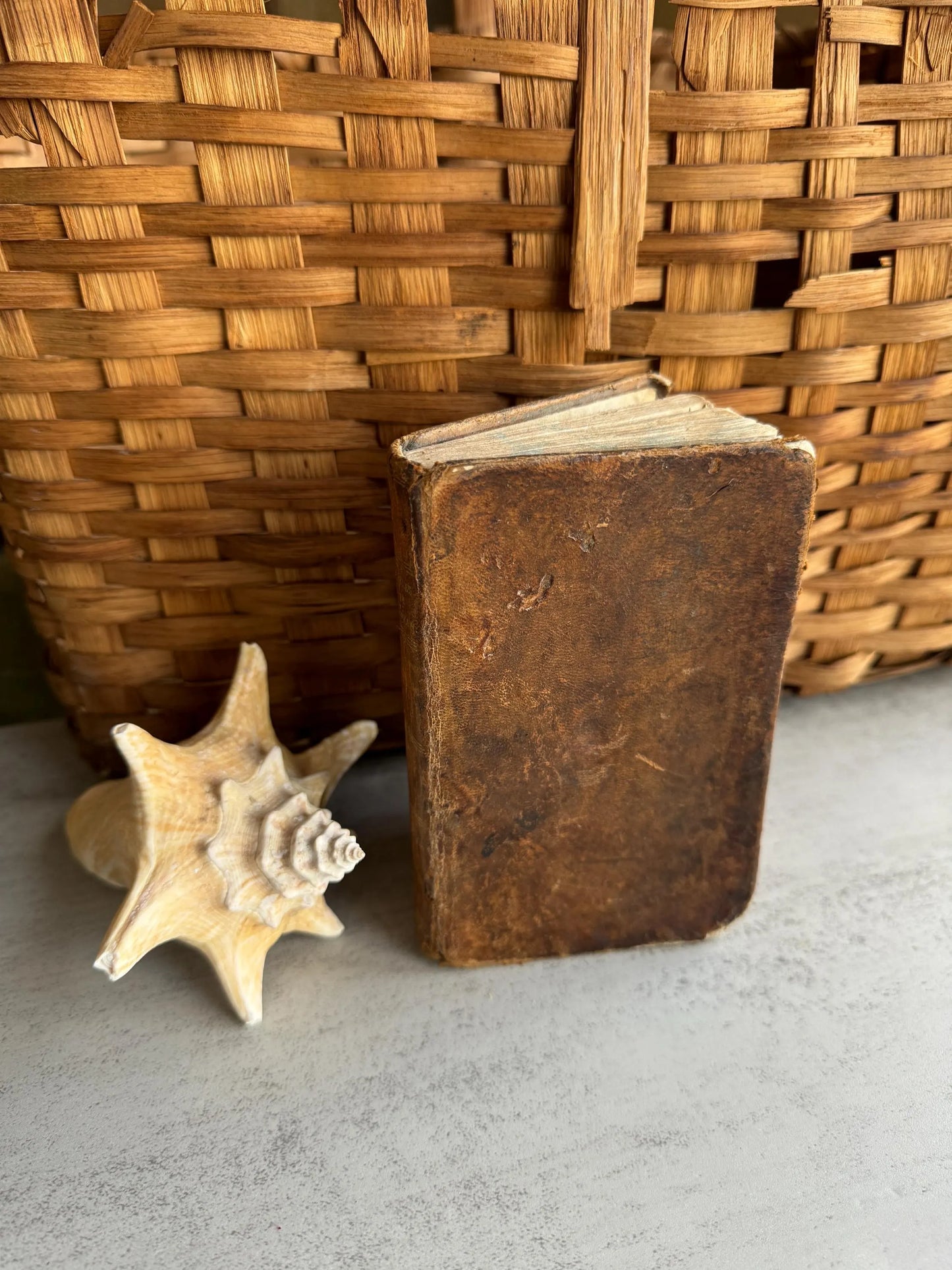 Antique 1836 Book, Fables de Florian with Biblical Poems, Rare French Book, Illustrated with Leather Cover